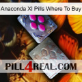 Anaconda Xl Pills Where To Buy 38